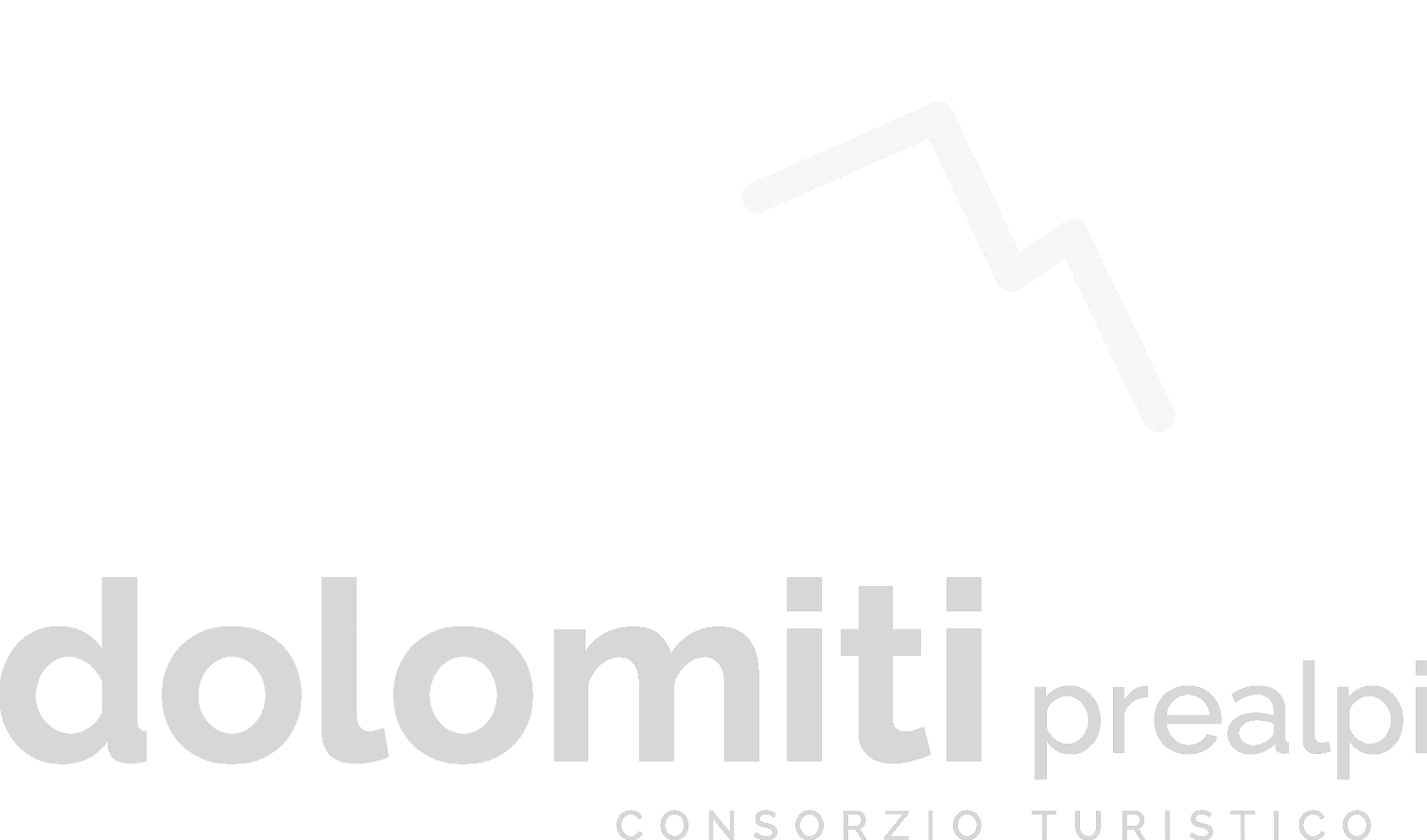 partner image